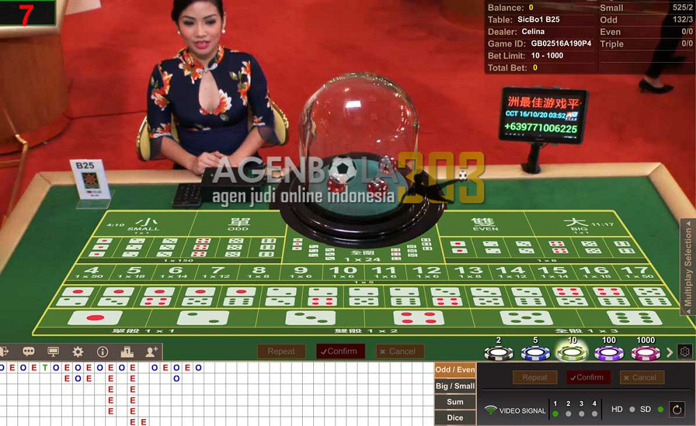 Panduan Cara Bermain Casino Dadu Untuk Pemula